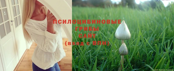 молекула духа Алзамай