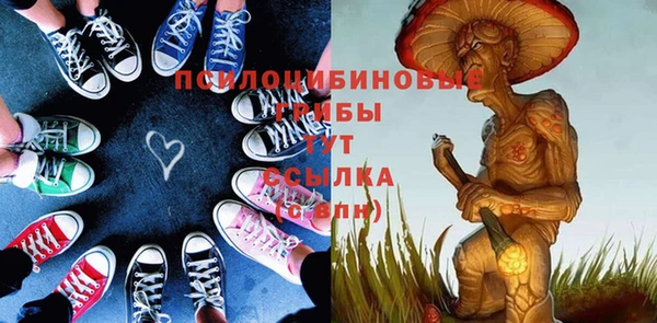 кокс Алексин