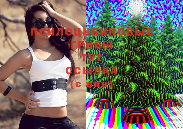 таблы Алексеевка