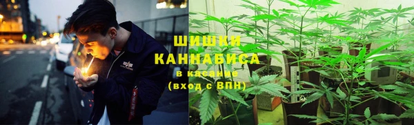 молекула духа Алзамай