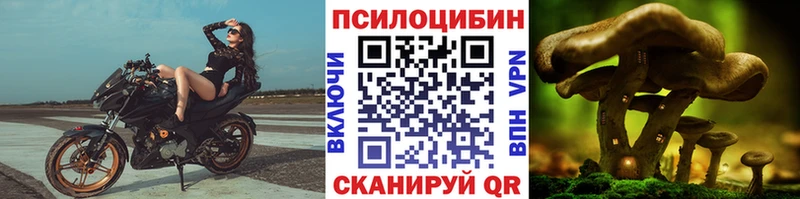 Галлюциногенные грибы Psilocybine cubensis  Алупка 